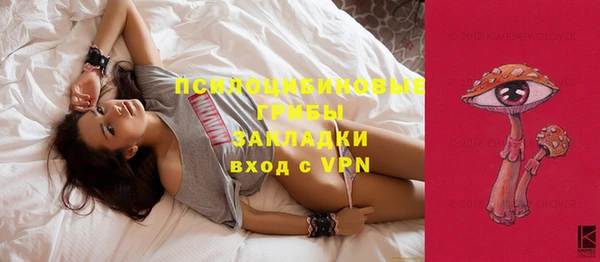 бошки Алексеевка