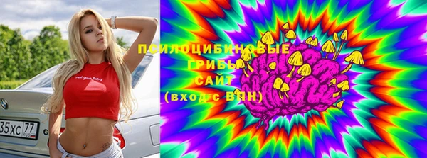 таблы Алзамай