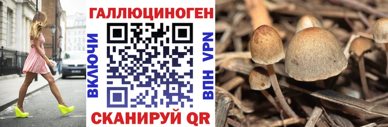 купить наркотики цена  Чехов  Галлюциногенные грибы прущие грибы 